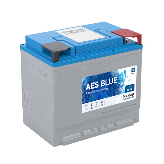 DLB-G24-12V 12.8V 100 amp-hour battery with BMS and Bluetooth